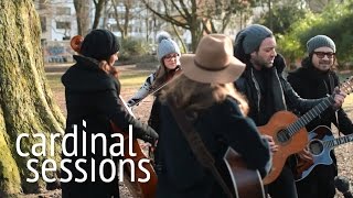 Adam Cohen - Don't Crack - CARDINAL SESSIONS