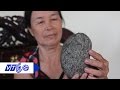 Xôn xao ‘cát lợn’ 21 tỷ đồng ở Hà Nội 