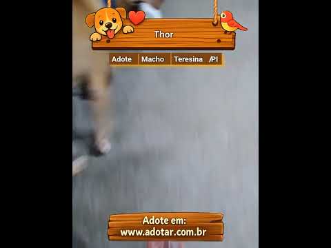 Vídeo de Thor