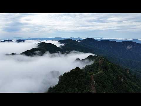 Live: Zhangjiajie, where forests crown the peaks in a breathtaking natural wonderland