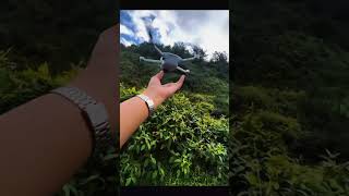 Download lagu jalan jogja mp3