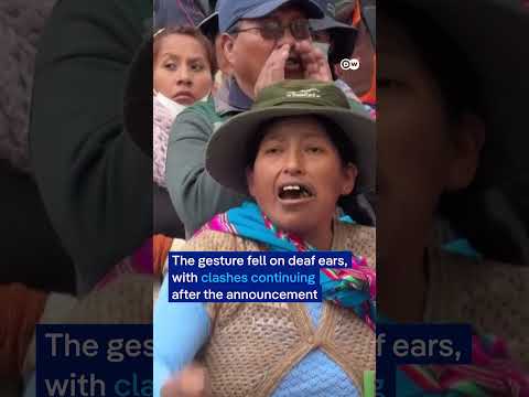 Bolivia's president to half his salary | DW News