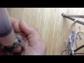 Hand Feeding a Baby Zebra Finch 