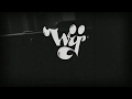 Wij Kat