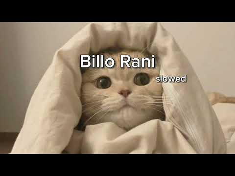 Billo Rani slowed and reverb #billorani #bollywoodsongs #bollywoodmovies #bollywood