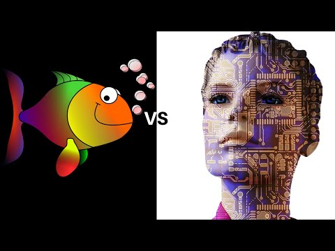 Doubled pawns vs Isolated Pawn || Stockfish 11 vs Leela ID 62565 || Sicilian 4 Knights