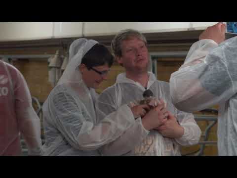 18.06.2019, Die DienstagsBrasilianer zu Gast beim Landwirtschaftsbetrieb Andresen