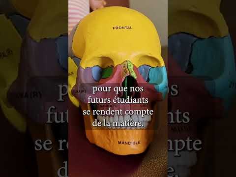 Journée Portes Ouvertes de l'école d'ostéopathie Ostéobio