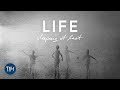 Life - Sleeping At Last 