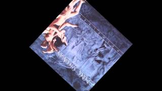 derek serinian A View From The Sky