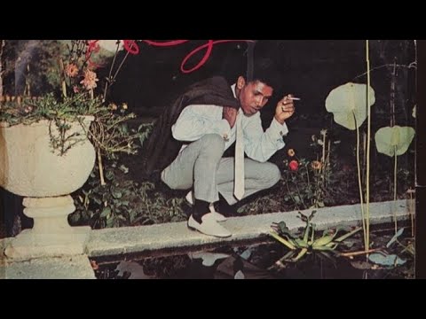 winston francis venus