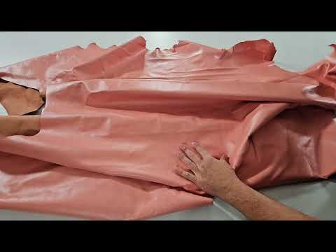 ROSA SALMON  5444