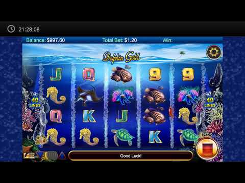 Dolphin Gold HQ – Video Gameplay
