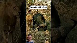 فاللحظات الاخيرة صراع بين القوةوالسيطرة #shorts