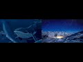 Various Artists- Classical Masterworks for the Natural World