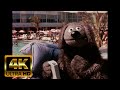 Rowlf The Salesman 1966 IBM Film 4K