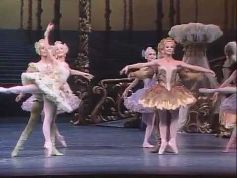 The Sleeping Beauty ballet   Tchaikovsky