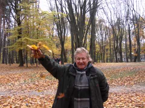 247 - ŻÓŁTY LIŚC - 1966r. / 71 [OFFICIAL FILM - 2013 r.] Autor - Janusz Laskowski