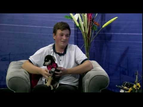 Dunavsko popodne 12.10. - gost Nikola Stojković