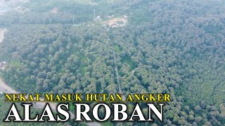 Download lagu DESPERATELY ENTERING THE HAUNTED FOREST ALAS ROBAN THE MOST HAUNTED FOREST IN INDONESIA mp3