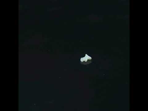 YouTube 썸네일