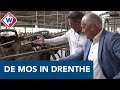 Wethouder De Mos op bezoek in Drenthe - OMROEP WEST