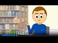 Life Observations Farts