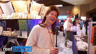 Two Little Fishies: NEW 2025 Aquarium Products You Don't Want To Miss