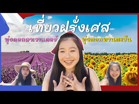 เที่ยว ฝรั่งเศส 🇫🇷 : คนโลกสวยไปทุ่งดอกลาเวนเดอร์ 🦄 คนโลกสดใสไปทุ่งดอกทานตะวัน 🌻
