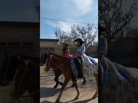 Fiesta tradicional El Cencerro 47 aniversario últimos del desfile Wheelwright Santa Fe