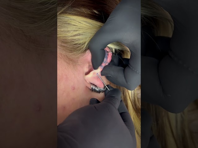 Vídeo relacionado con Pendientes/piercings unisex en forma de lagarto para tragus/hélix, acero inoxidable, sans_pierre, Acero inoxidable, sin piedra