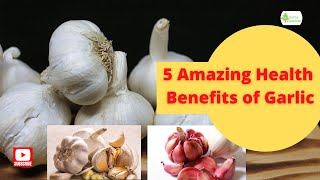 5 Amazing Health Benefits of Garlic
