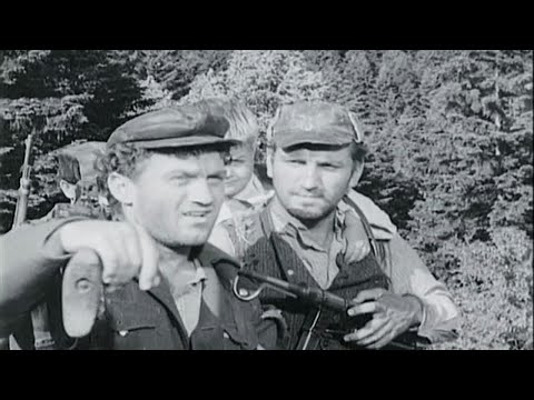 OJ KOZARO, NE TREBA TI KIŠE - Partizanska pjesma