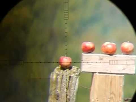 FX Royale 500 vs Apple @ 50 yards