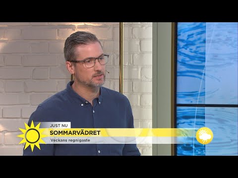 Efterlängtad prognos: ”Här kommer en del regn”  - Nyhetsmorgon (TV4)