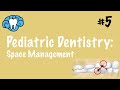 Pediatric Dentistry | Space Management | NBDE Part II