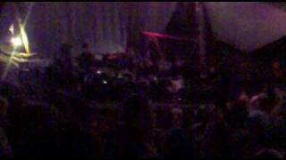 jerry fish at the salty dog