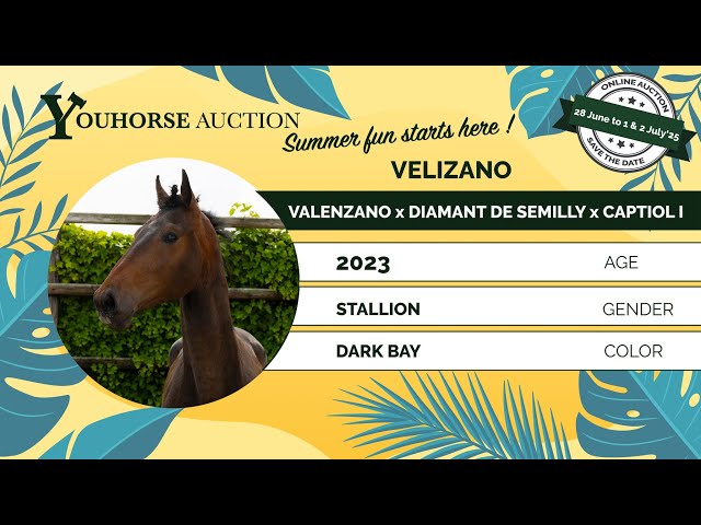 Velizano