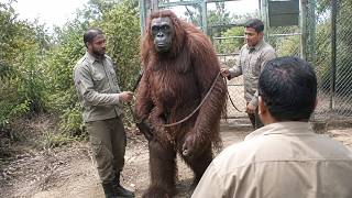 Zoo Cameras Captured Things No One Can Explain - Part 3
