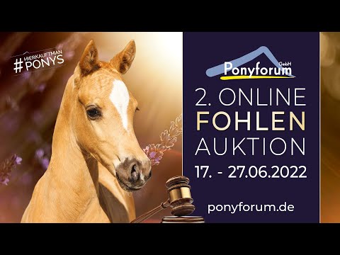 Cinnamon Stute 04.05.2022 v. Can Dance / Der Feine Lord AT