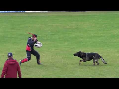 WUSV 2021 IRL 1 - BRIAN SIMPSON & AMAN VON CLONBURG C 80