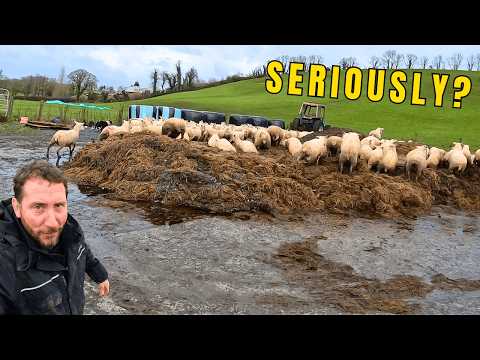 Mud, Mess, Laughter & Loss