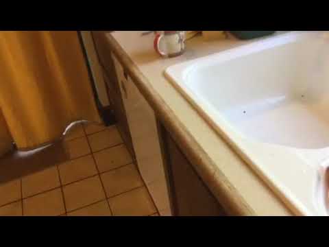 Bosch Exxcel dishwasher broken