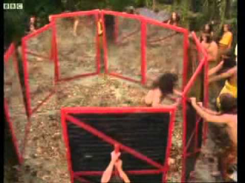 Doctor Who Episode Tribute No.108 - Kinda