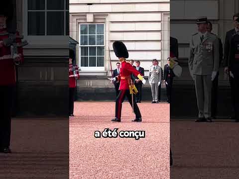 Ils Cachent Des Têtes Coniques?!🤯