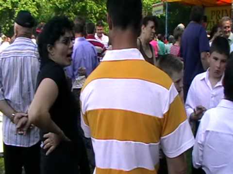 zilele  utvinisului  2010