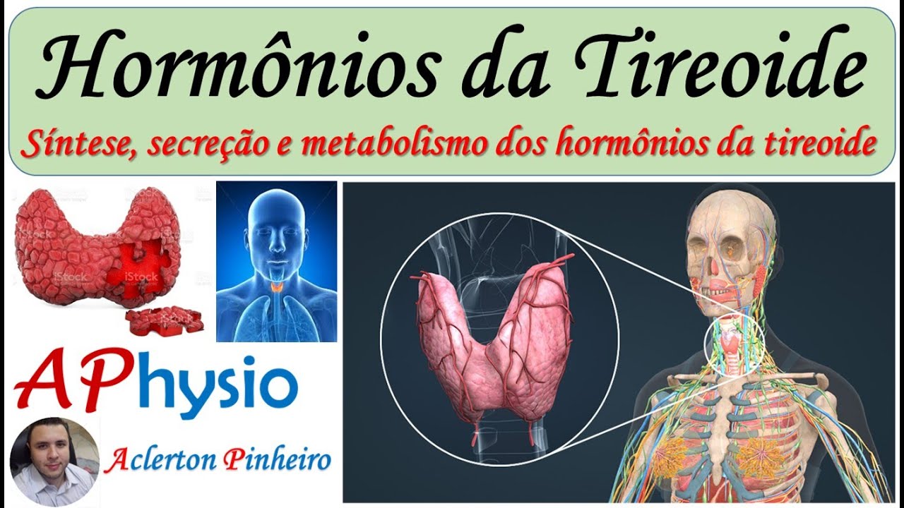 Síntese, Secreção e Metabolismo dos Hormônios da Tireoide (T3 e T4)