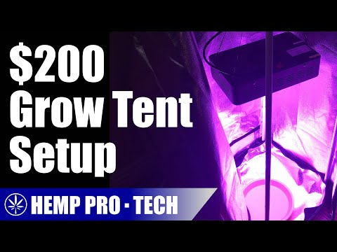 Building A Small Budget Indoor Grow Setup