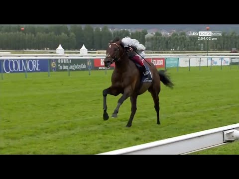 Special racehorse! Palace Pier goes back-to-back in the Prix Jacques Le Marois 🌟