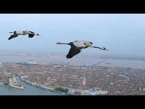 The String Quartet Tribute To Depeche Mode - People Are People